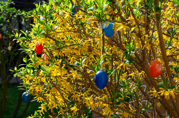 Frohe Ostern 2025