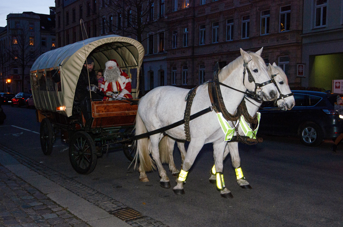 Lichtelzeit im Nordpark, 06.12.2019